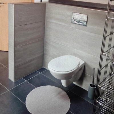 Das Bild zeigt die Toilette