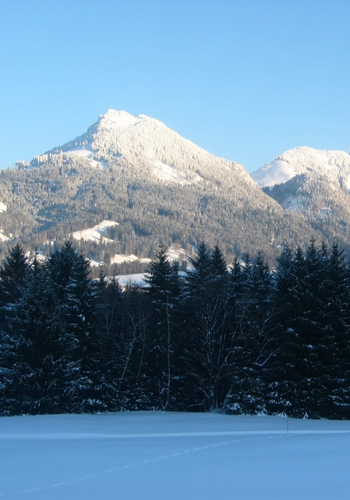winter-2